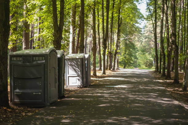 Best Porta potty for special events  in Rogers City, MI